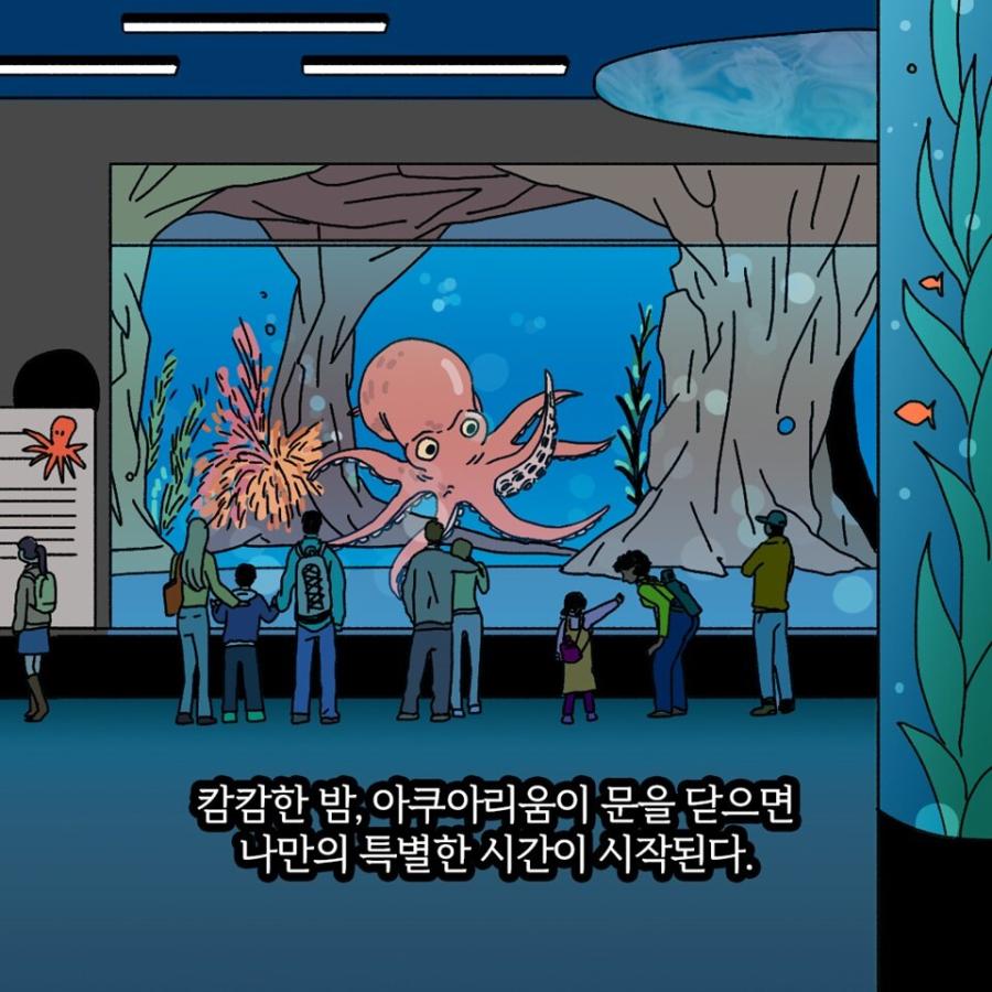 韓国語 小説 『水族館が閉まると』 著：シェルビー・バン・ペルト