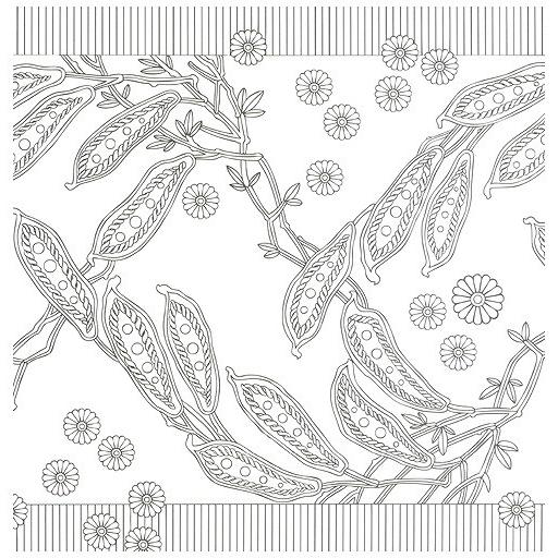 韓国のぬりえ本 ミケラのウェディングボックス （大人の塗り絵