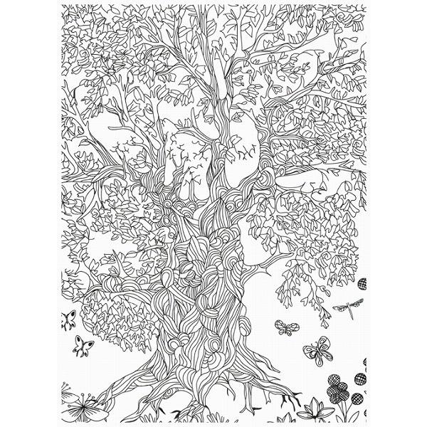韓国のぬりえ本 木の秘密〜アンチストレスのためのカラーリングブック（大人の塗り絵）｜niyantarose｜02