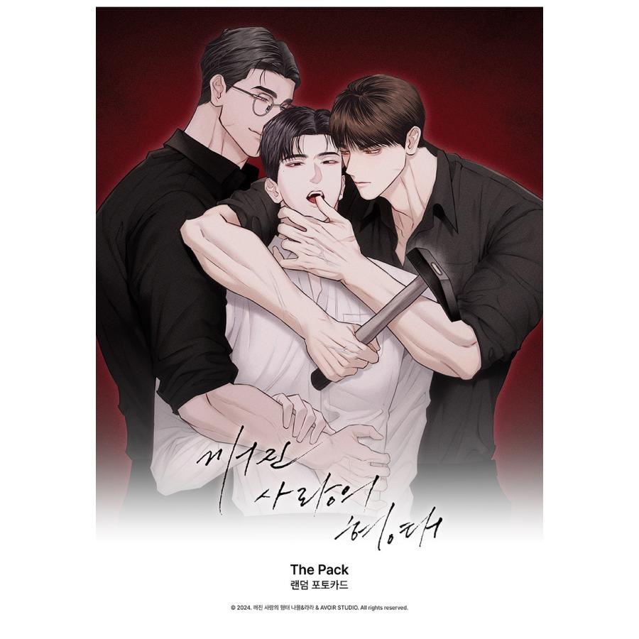 韓国 コミック グッズ『砕け散った愛の形 The Pack（24種類から