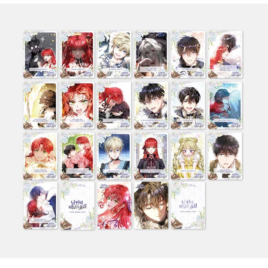 韓国 コミック グッズ『旦那が美貌を隠す訳 コレクティングカード