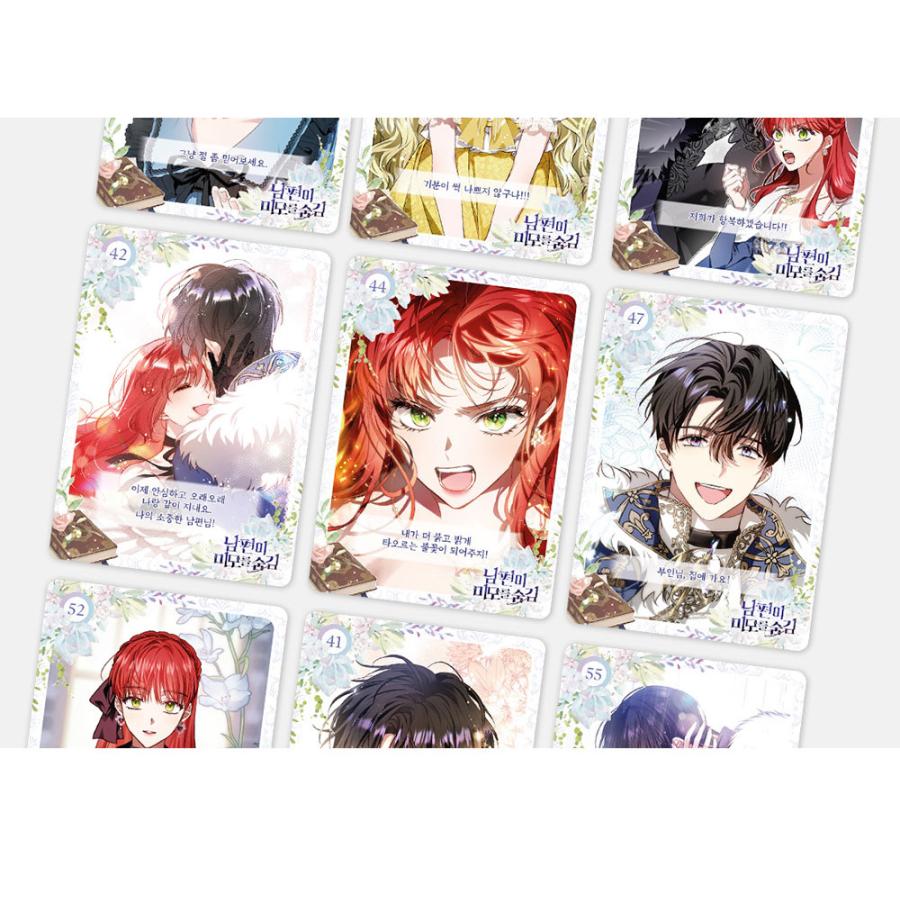 韓国 コミック グッズ『旦那が美貌を隠す訳 コレクティングカード