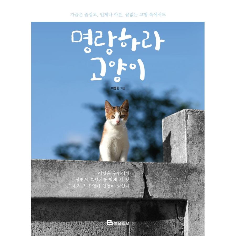 韓国語 フォトエッセイ 『明るく朗らかであれ 猫よ』 - ときに楽しく、いつも苦しい、終わりのない苦行の中でも : にゃんたろうず  NiYANTA-ROSE! - 通販 - Yahoo!ショッピング
