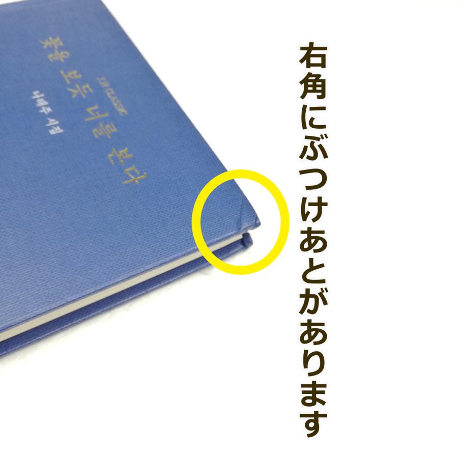 ☆わけあり値引き☆韓国語の詩集 『花を見るようにきみを見る』 著：ナ
