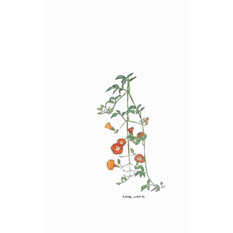 韓国語の詩集 『花を見るようにきみを見る』 著：ナ・テジュ（ソン