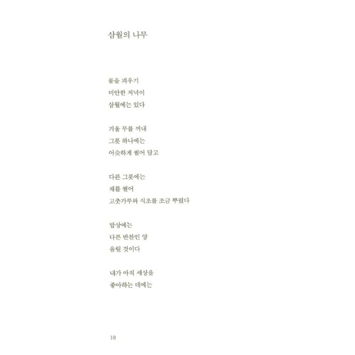 韓国語 詩 『私たちが一緒に梅雨を見ることもあるでしょう』 著：パク・ジュン 文学｜niyantarose｜08