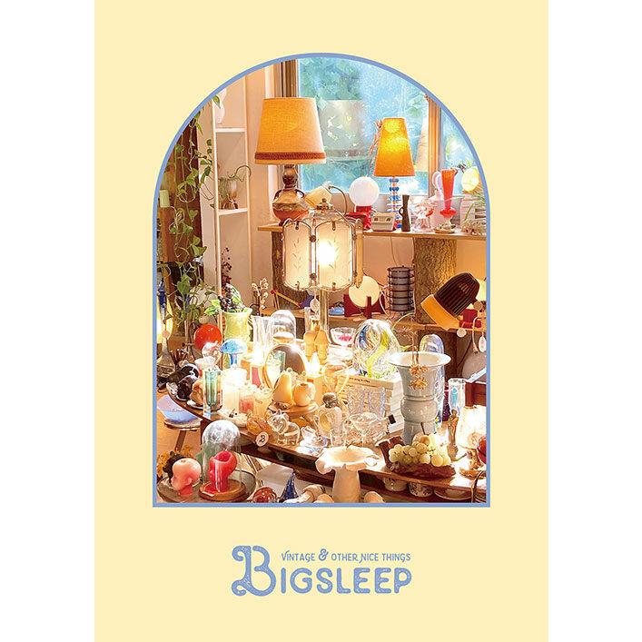 ザ・ポスターブック BY ビッグスリープ（BIG SLEEP）THE POSTER BOOK