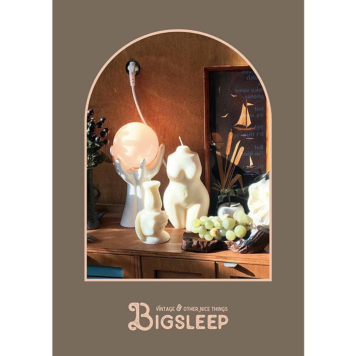 ザ・ポスターブック BY ビッグスリープ（BIG SLEEP）THE POSTER BOOK