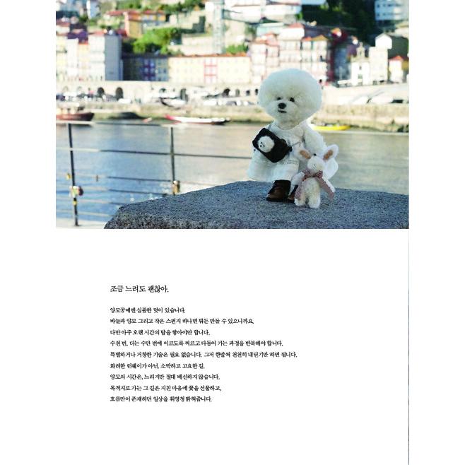 韓国語 手芸 本 『リアルな犬の人形 - 羊毛でつくる愛らしい』 著：パク・ジョンウン｜niyantarose｜04