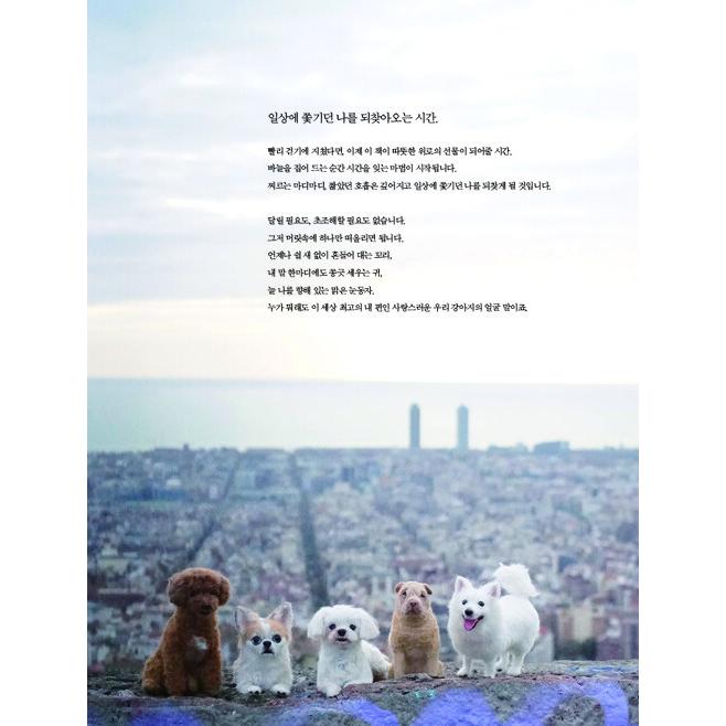 韓国語 手芸 本 『リアルな犬の人形 - 羊毛でつくる愛らしい』 著：パク・ジョンウン｜niyantarose｜05