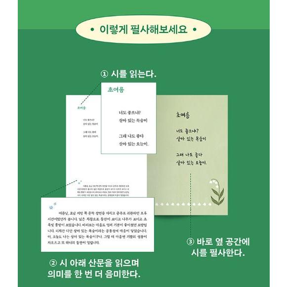 韓国語 詩 本 『筆写、大人になる時間 - 騒がしい世界で平穏を見つける