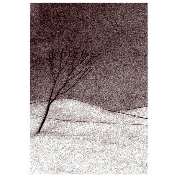 韓国語の童話 アルベ 〜ぼくはどうやって透明人間になったのか<サンハ世界文学1> | ブランド登録なし | 01