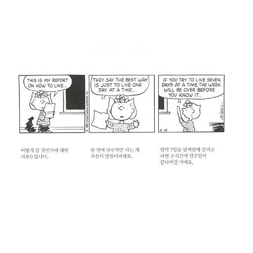 韓国語のエッセイ スヌーピーと仲間たちの人生ガイド 通常便なら送料無料 韓国版 ハングル