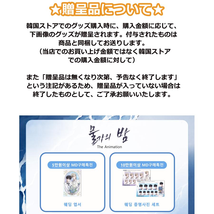 韓国 コミック グッズ『水辺の夜 ミニぬいぐるみ フルボックス』公式
