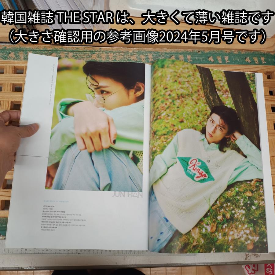 韓国 雑誌 ザスター THE STAR 2024.11 2024年 11月号（表表紙：イ