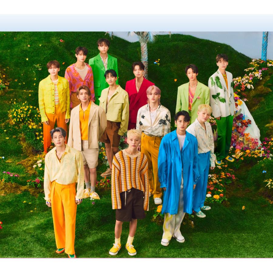 韓国語 音楽エッセイ 本『SEVENTEEN LYRICS INSIDE』著：Cake（別冊