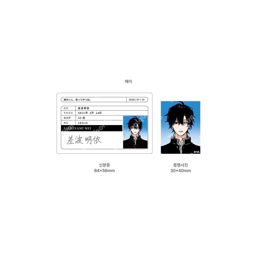 韓国 コミック グッズ『鯛代くん、君ってやつは。 身分証セット（4種類