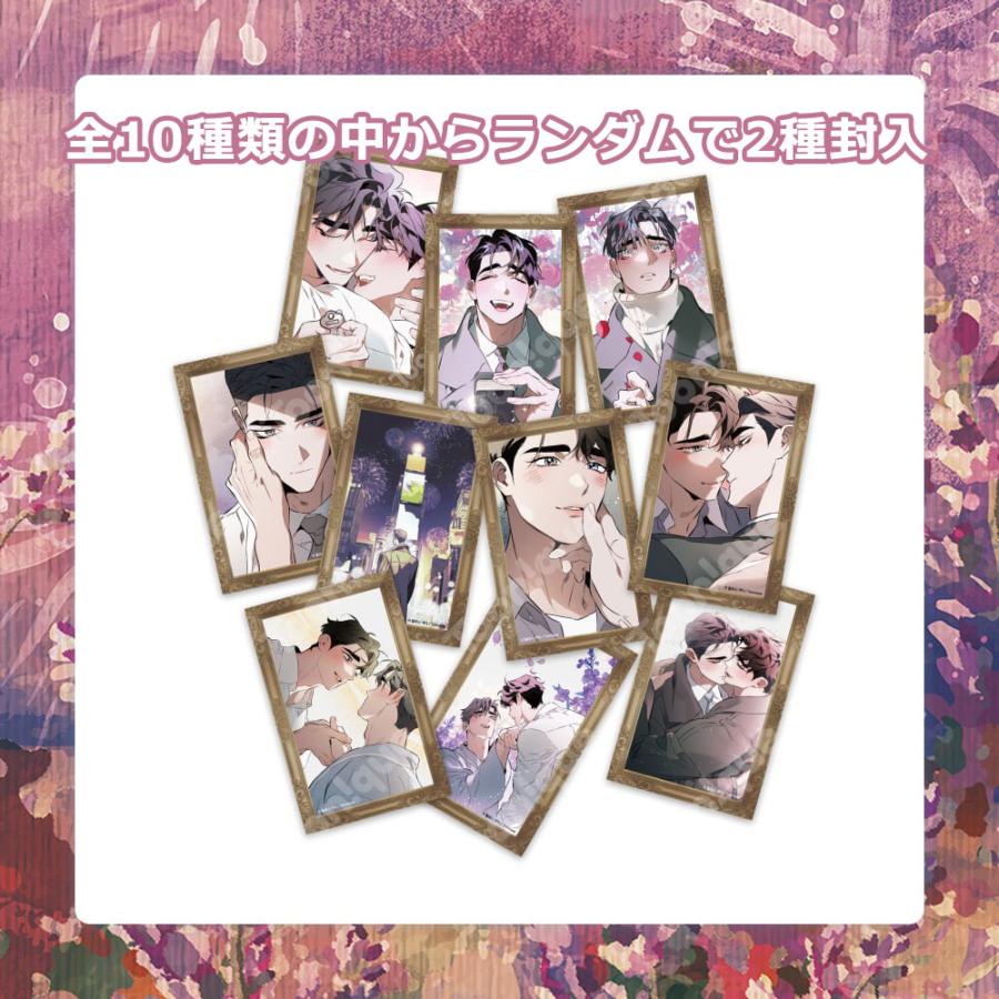 韓国BL ディファイン ザ リレーションシップ DTR ポストカード 韓国 BL