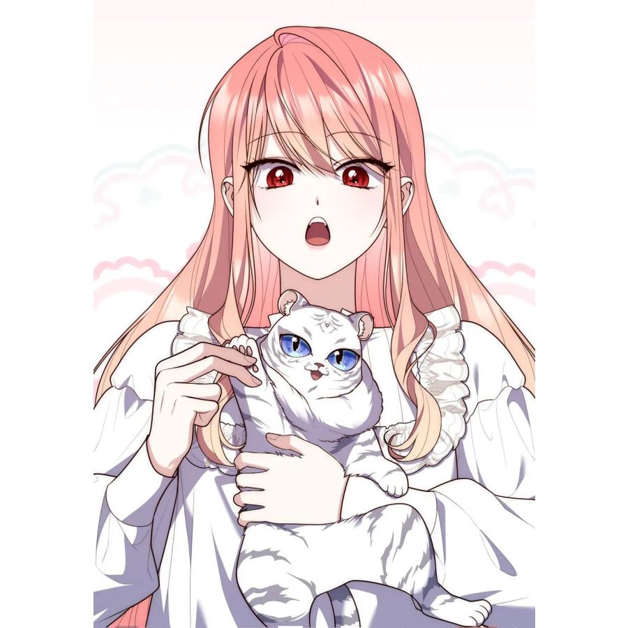 韓国 コミック グッズ『公女様は未来を見通す クッション単品セット』公式グッズ : にゃんたろうず NiYANTA-ROSE! - 通販 ...