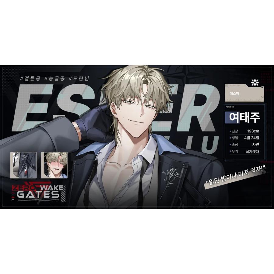 予約2月韓国発売予定）韓国 ゲーム グッズ『ZERO WAKE GATES
