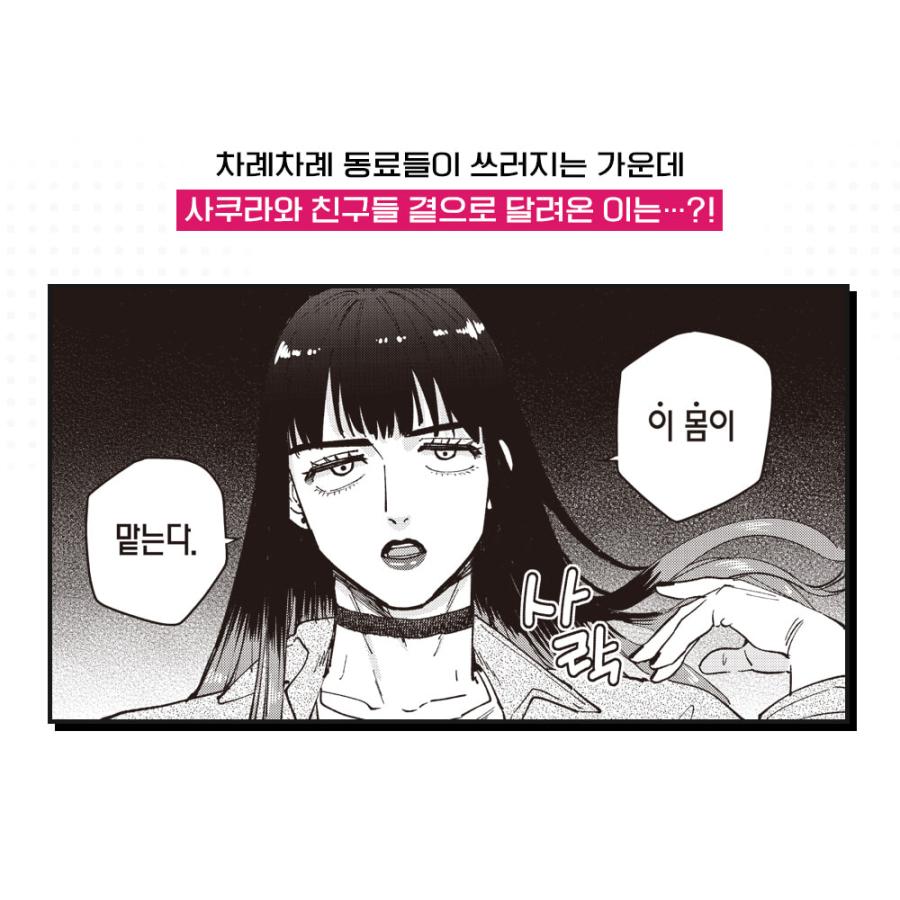 韓国語 まんが『WIND BREAKER(10)』著：にい さとる（韓国版） ※初版