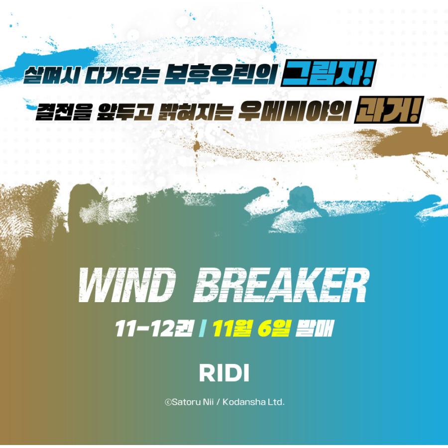 韓国語 まんが『WIND BREAKER(12)』著：にい さとる（韓国版） ※初版