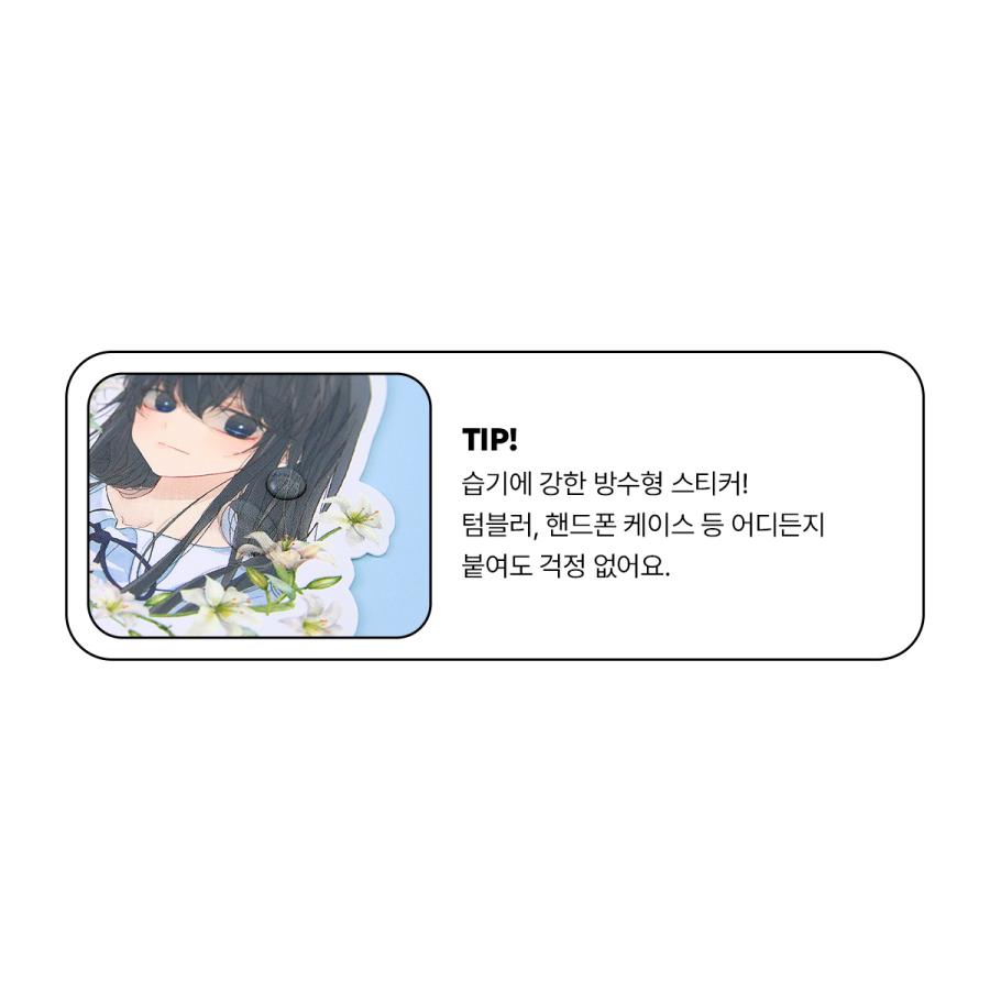 韓国 コミック グッズ『復讐を誓った少女 ビッグステッカーパック