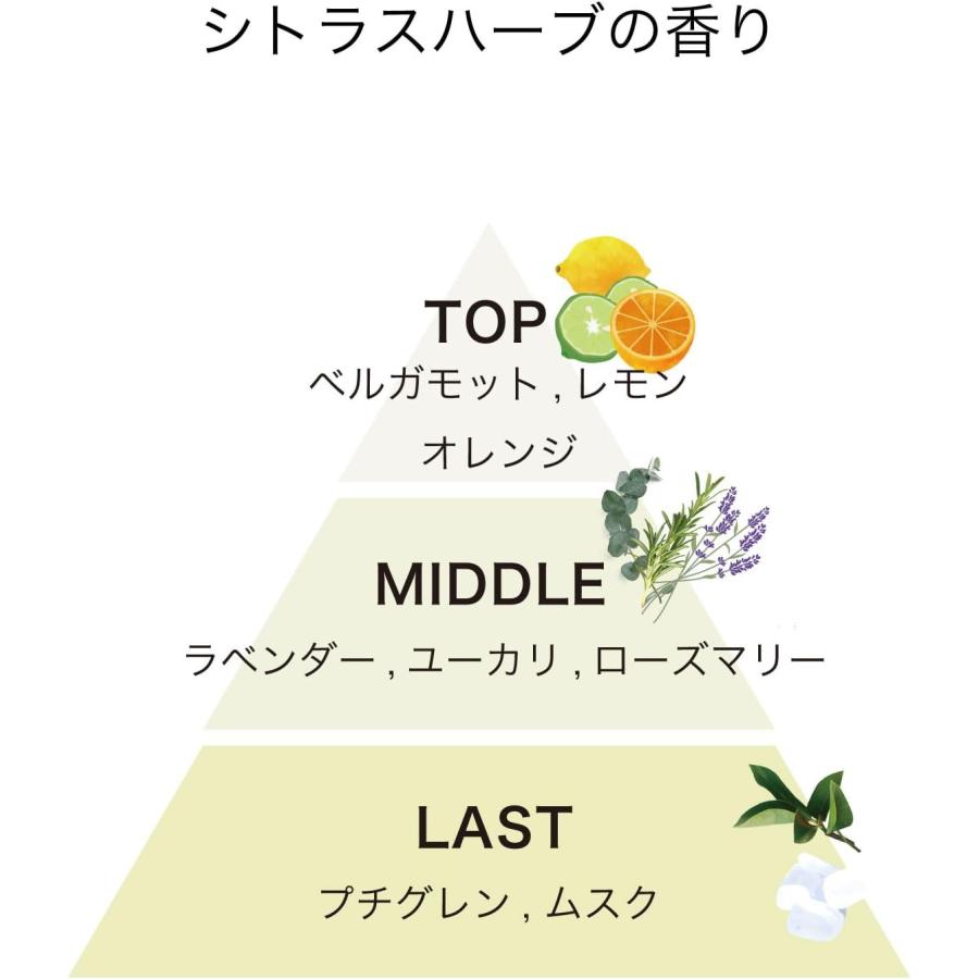 track（JoelRoty） track トラック クリーム No.2 ナンバーツー