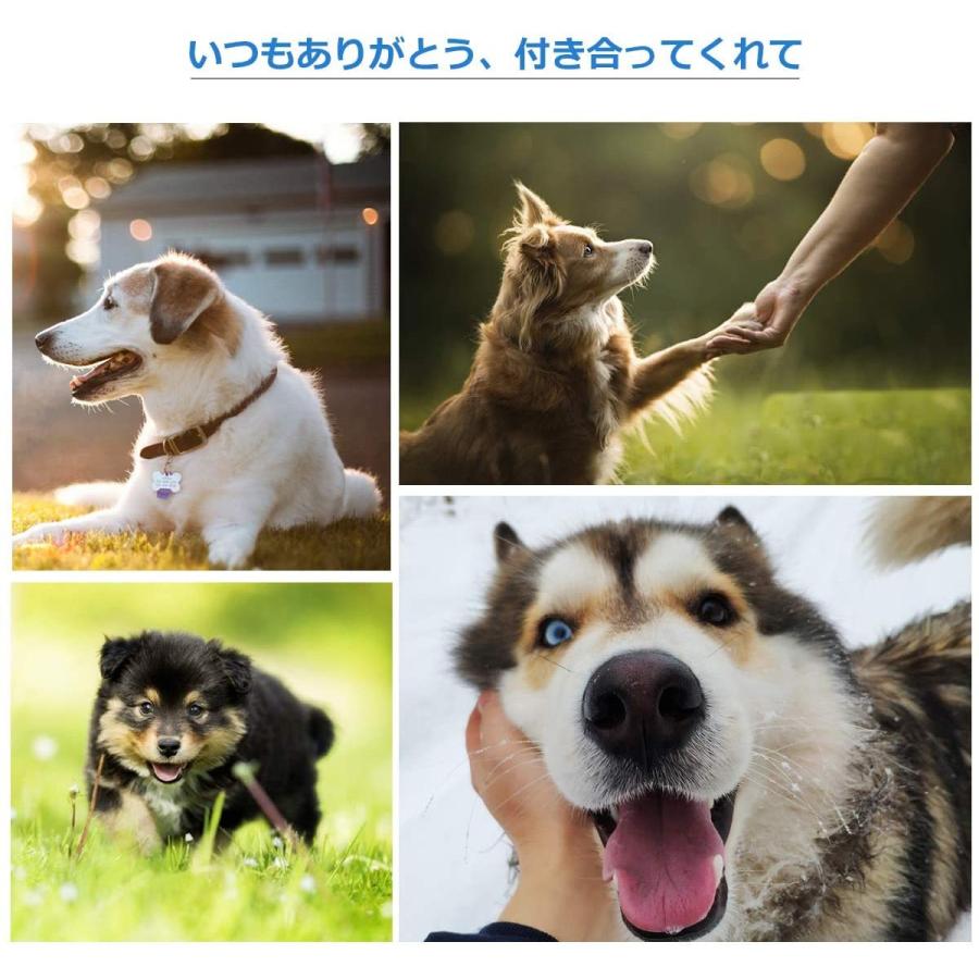 市場 OTOKU カッパ いい素材 快適 ペットレインコート 小型犬 レインコート 犬用合羽 犬用レインコート