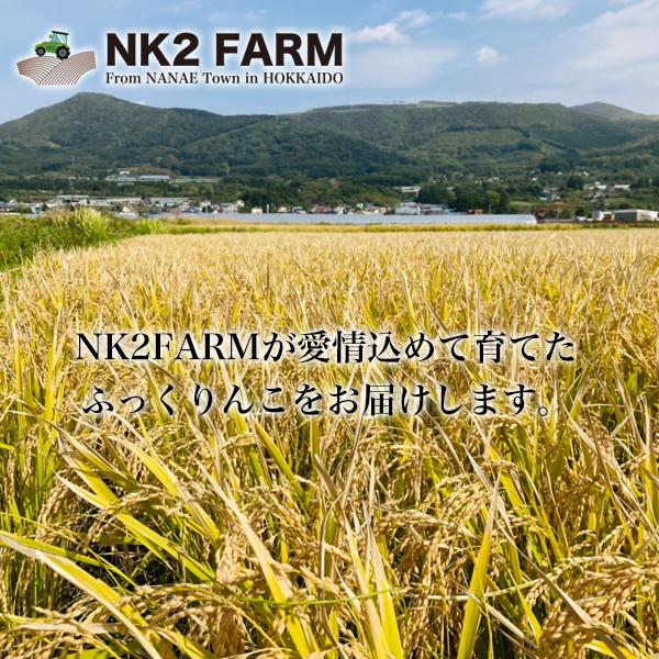お米 玄米 10kg 北海道産 ふっくりんこ 令和3年産 籾まま貯蔵米／NK2FARMの籾まま貯蔵しているお米をお届けします。｜nk2farm｜03