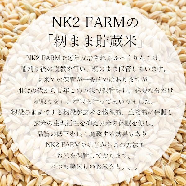 お米 北海道産 ふっくりんこ 玄米 150g 220円 メール便 送料無料 令和4年産／メール便発送のため日時指定、代金引換不可｜nk2farm｜02