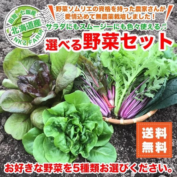 北海道からお届け！無農薬栽培の選べる野菜セット 5種類 送料無料／お好きな野菜を5種類お選びください。｜nk2farm