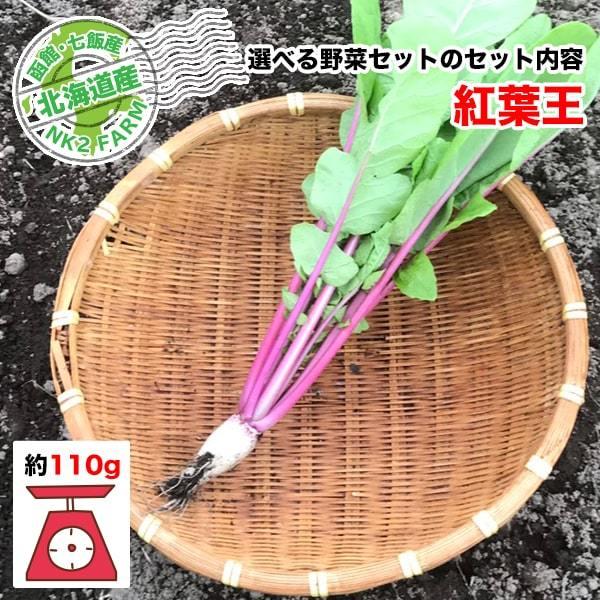 北海道からお届け！無農薬栽培の選べる野菜セット 5種類 送料無料／お好きな野菜を5種類お選びください。｜nk2farm｜06