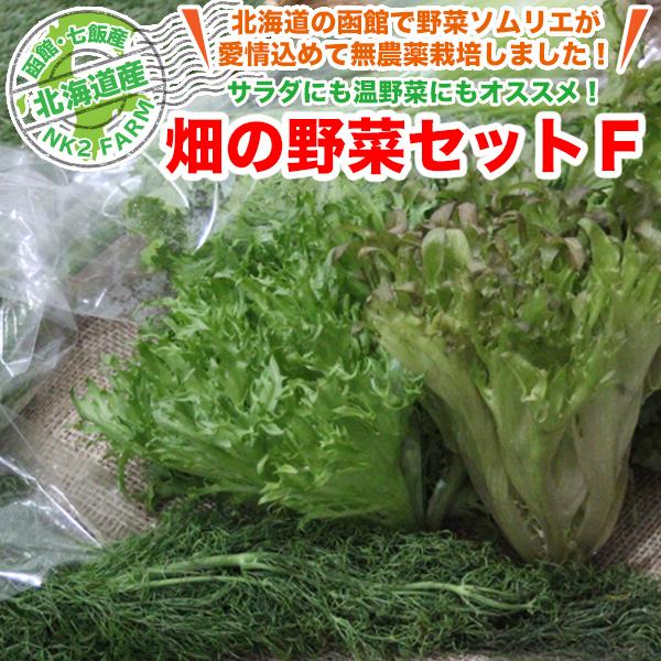 北海道産 フェンネル わさび菜 ハンサムグリーン ハンサムレッド 4種セット おまけ付き 送料無料 西洋野菜｜nk2farm