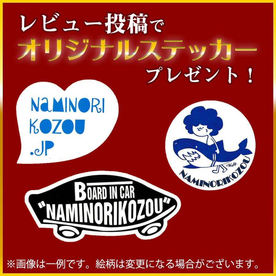 NAMINORIKOZOU バモス専用車内キャリア2本セット サーフィンスノーボード スキー 脚立 前ピラー＆後ろ幅細蝶つがいターンナット｜nkc｜05