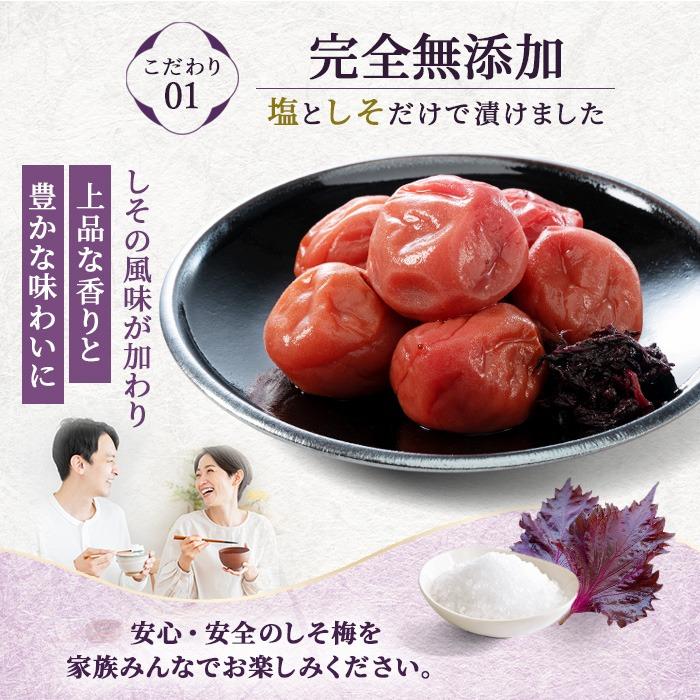 訳あり 無添加紫蘇梅 塩分15％ 350g 減塩 無添加梅干し 国産 南高梅