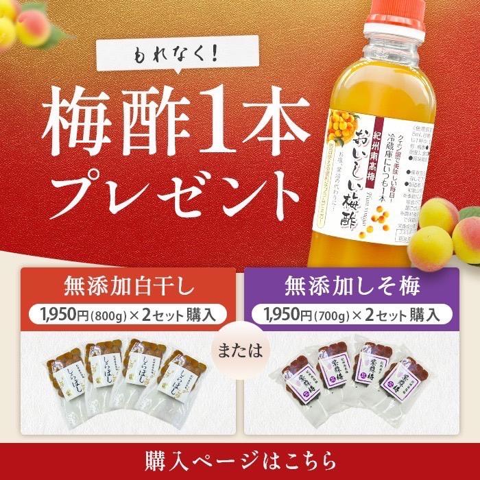 1950円を2個購入で梅酢プレゼントキャンペーン！ 訳あり 無添加紫蘇梅