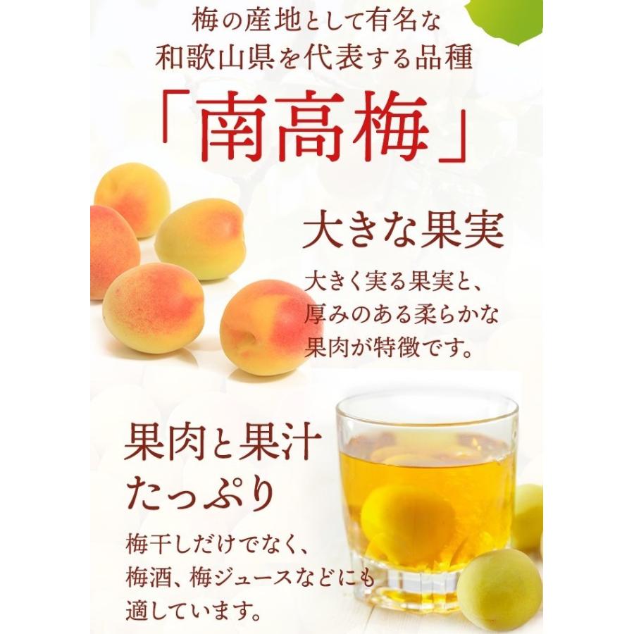 冷凍梅 紀州南高梅 完熟1kg 冷凍ウメ 冷凍うめ 梅ジャム 梅ジュース