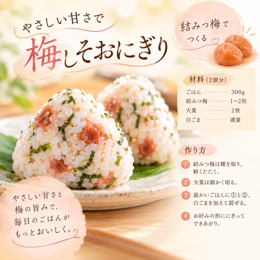 はちみつ 梅干し 塩分5％人工甘味料・保存料不使用 特産 自宅用 400g×2