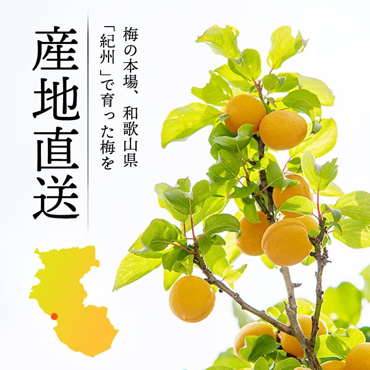 無添加 はちみつ 梅干し 塩分5％（人工甘味料・保存料不使用） 特産