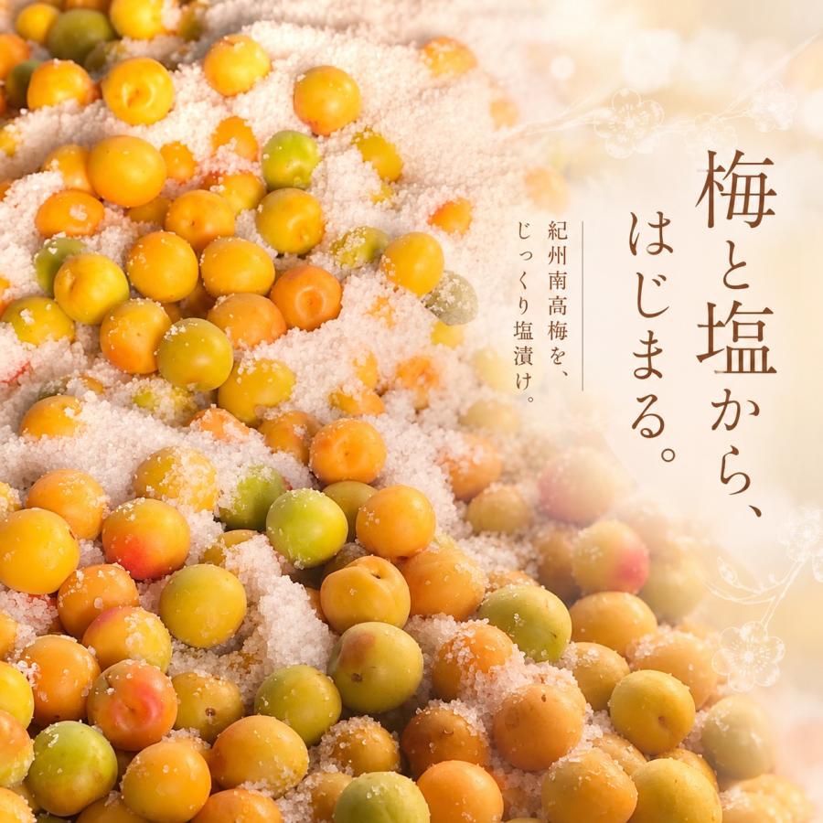 はちみつ 梅干し 塩分5％人工甘味料・保存料不使用 特産 自宅用 400g×2