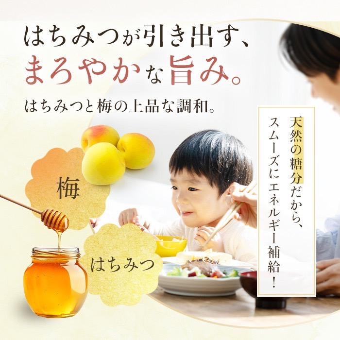 紀州南高梅 無添加 はちみつ 梅干し 塩分5％（人工甘味料・保存
