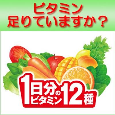 伊藤園 ビタミン野菜 0ml 2ケース 24本入 2箱 野菜ジュース なかみせpaypayモール店 通販 Paypayモール