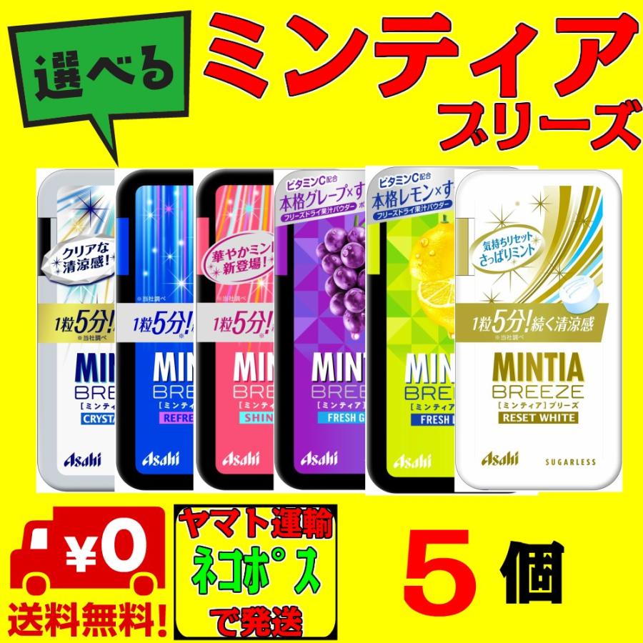 1000円ポッキリ ポイント消化 選べるミンティアブリーズ 5個 ネコポス MINTIA フリスク ネコポス｜nkms