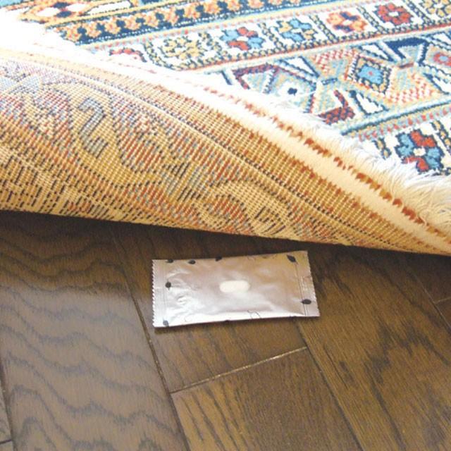 生活アートクラブ　ダニコナイ 15個入 | ブランド登録なし | 02