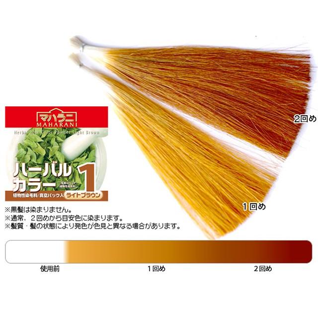 マハラニ ハーバルカラー１（ライトブラウン） 100g≪3袋まで日本国内メール便対応≫ | MAHARANI | 01