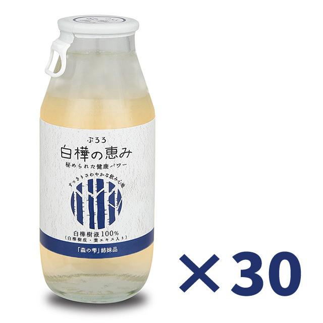 ブランド登録なし - ≪日本国内貨物輸送無料≫  ぷろろ健美堂 白樺ドリンク「ぷろろ白樺の恩寵」180ml×30本仕掛ける 健康飲料-ダイエット、健康