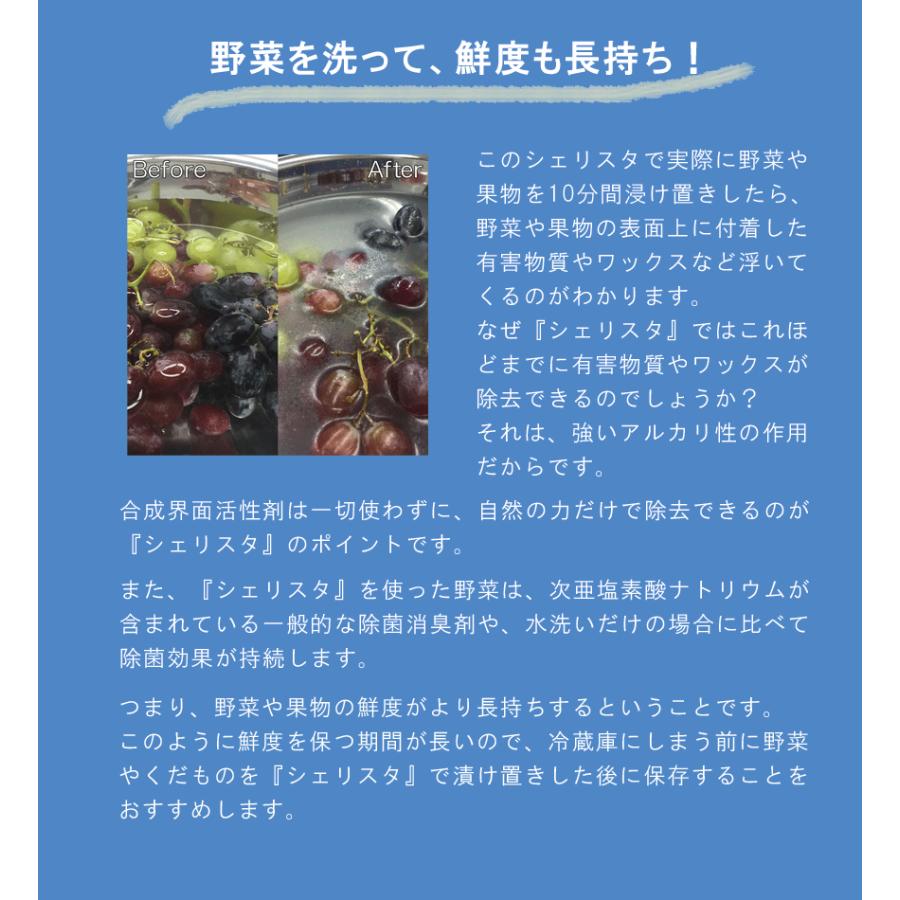 SHELLISTA（シェリスタ）除菌消臭パウダー 100ｇ  newlogic | ブランド登録なし | 02