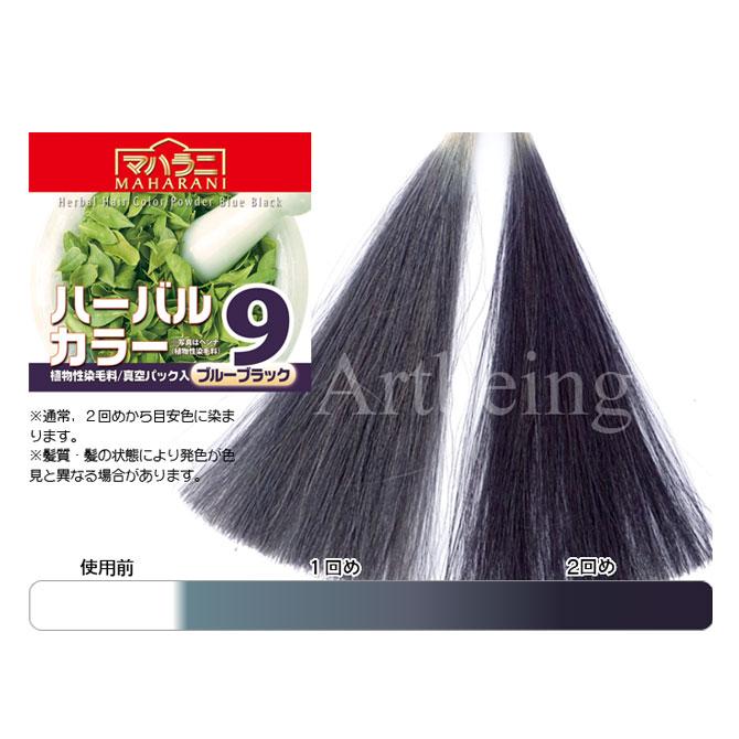 マハラニ　ハーバルカラー9（ブルーブラック）■単品１００g　 ≪３袋まで日本国内メール便対応≫ | MAHARANI | 01