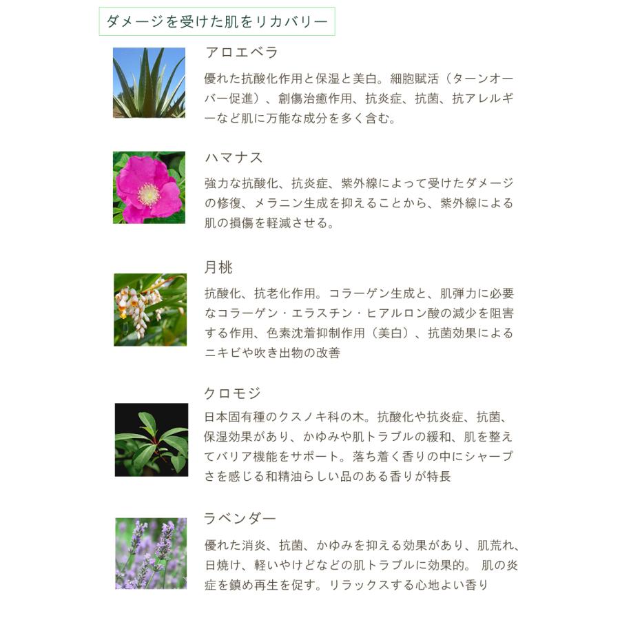 アロエのチカラデイクリーム　　20ml　Organic Style JAPAN |  | 04